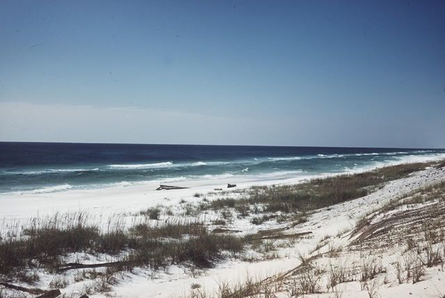 LAGUNA.jpg