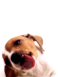 ANIMATED6_zps96eb2ca6.gif