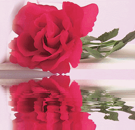 u_123_zps2428465e.gif