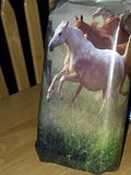 horse wrap