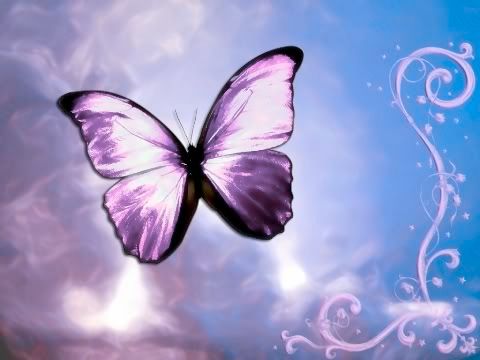 free butterfly wallpaper. Gold Butterfly Wallpaper at