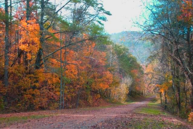 walkway