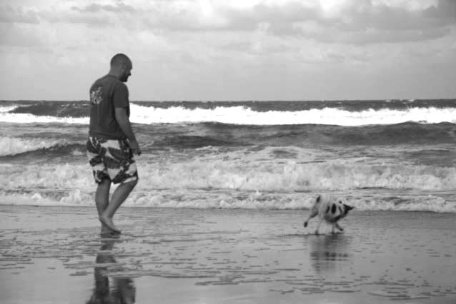 dad and dog playing