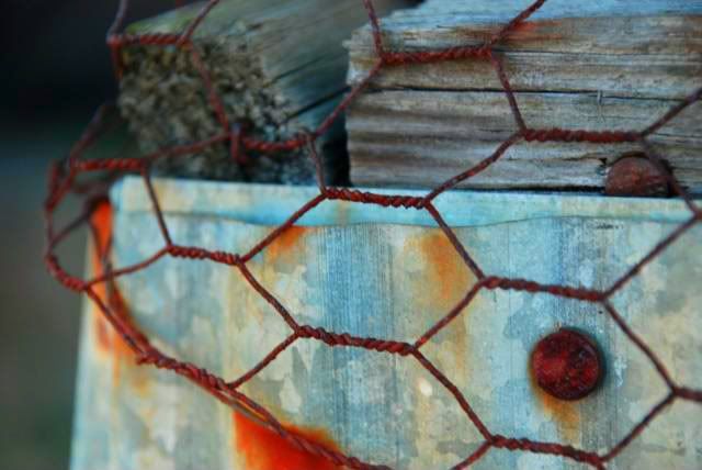 chicken wire and logs