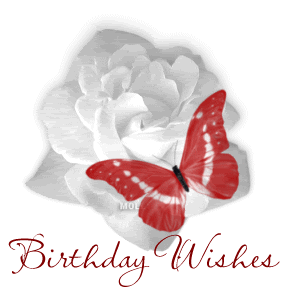 butterfly birthday wishes photo: butterfly Birthday Wishes 26684.gif