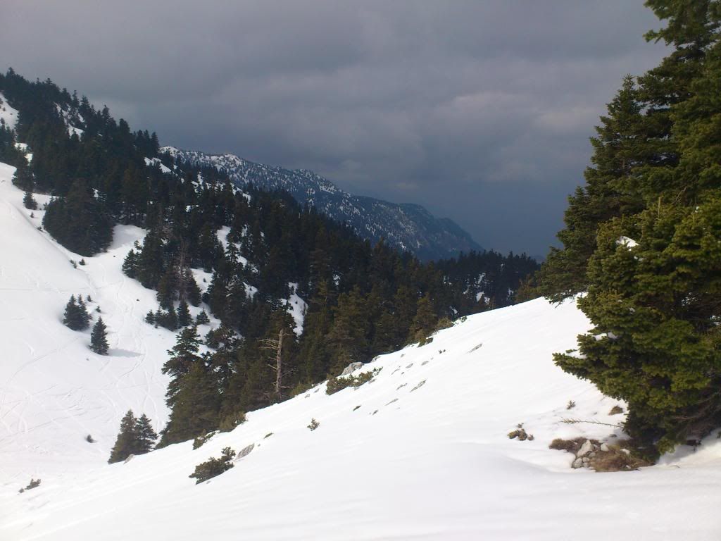 DSC_0107_zpsc89a0846.jpg