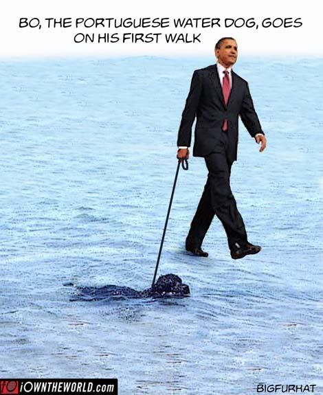 Obama walks the dog