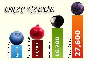 maqui-berry-orac-value