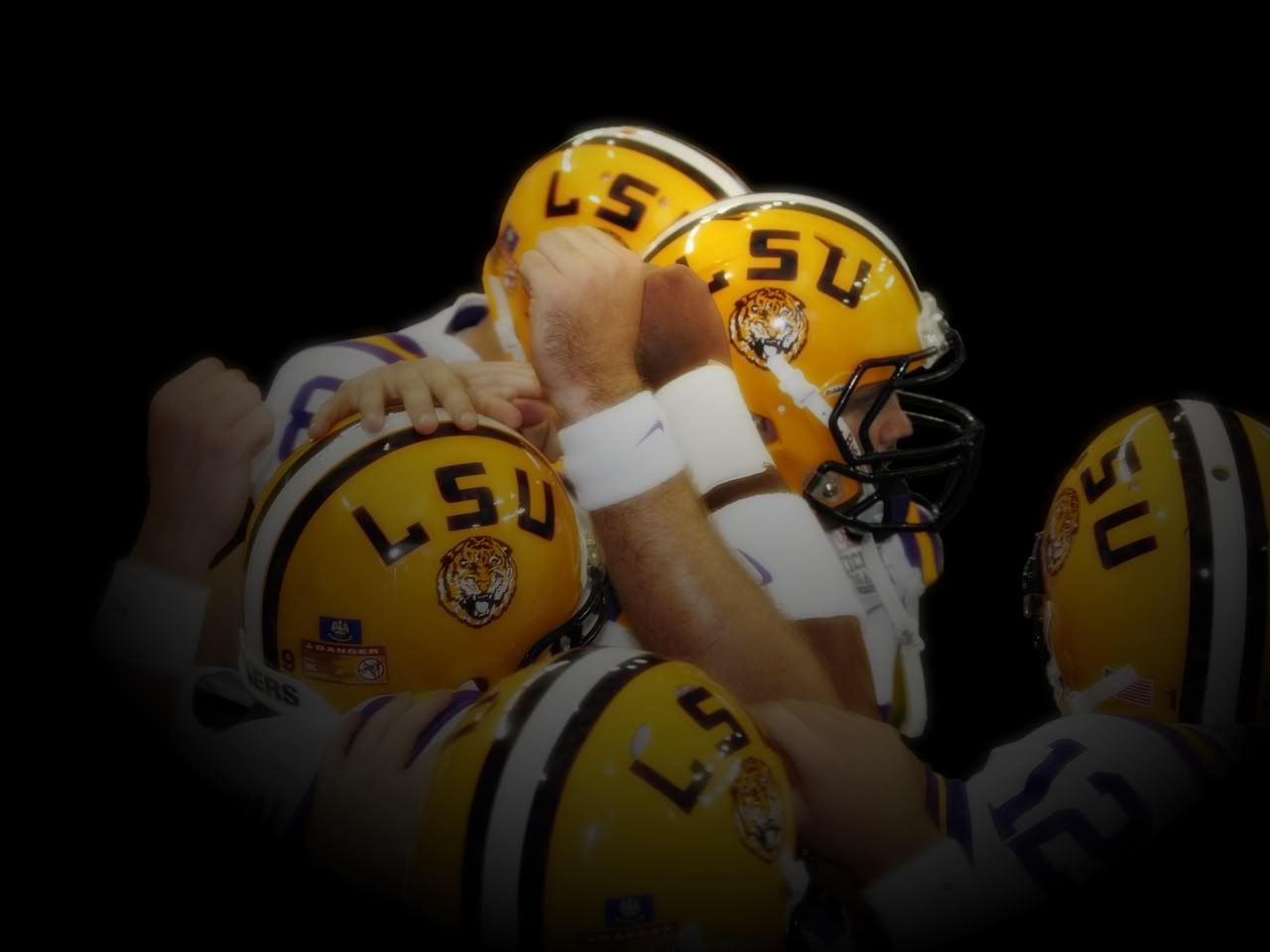 lsu_2010_wallpaper.jpg LSU 2010 Wallpaper